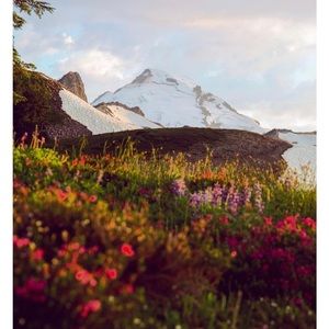 Meet your Posher, Jacque